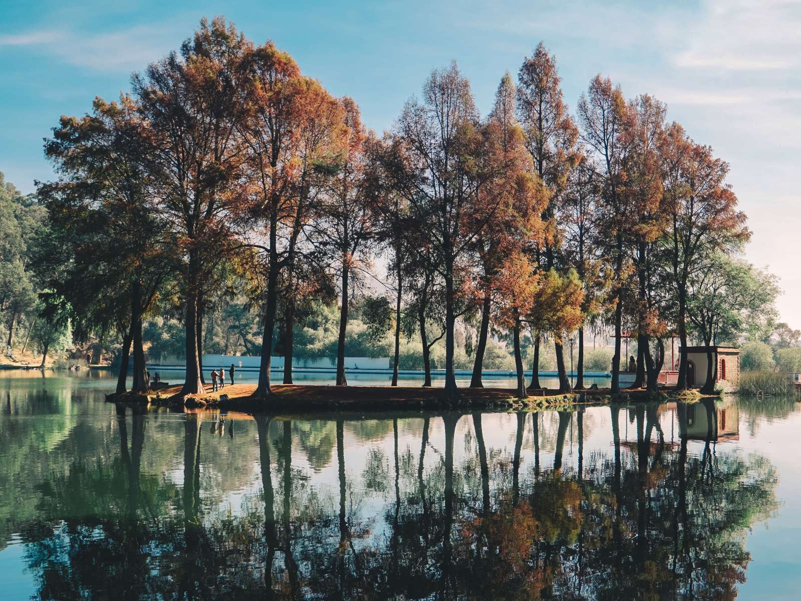 This describes the image