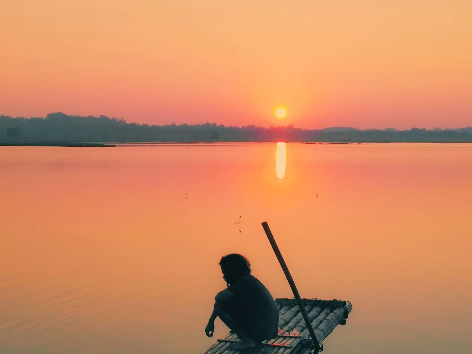 This describes the image