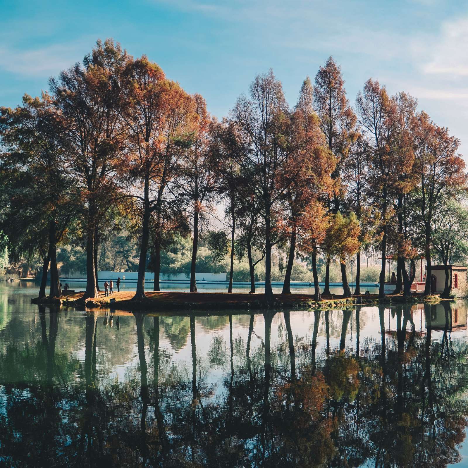 This describes the image