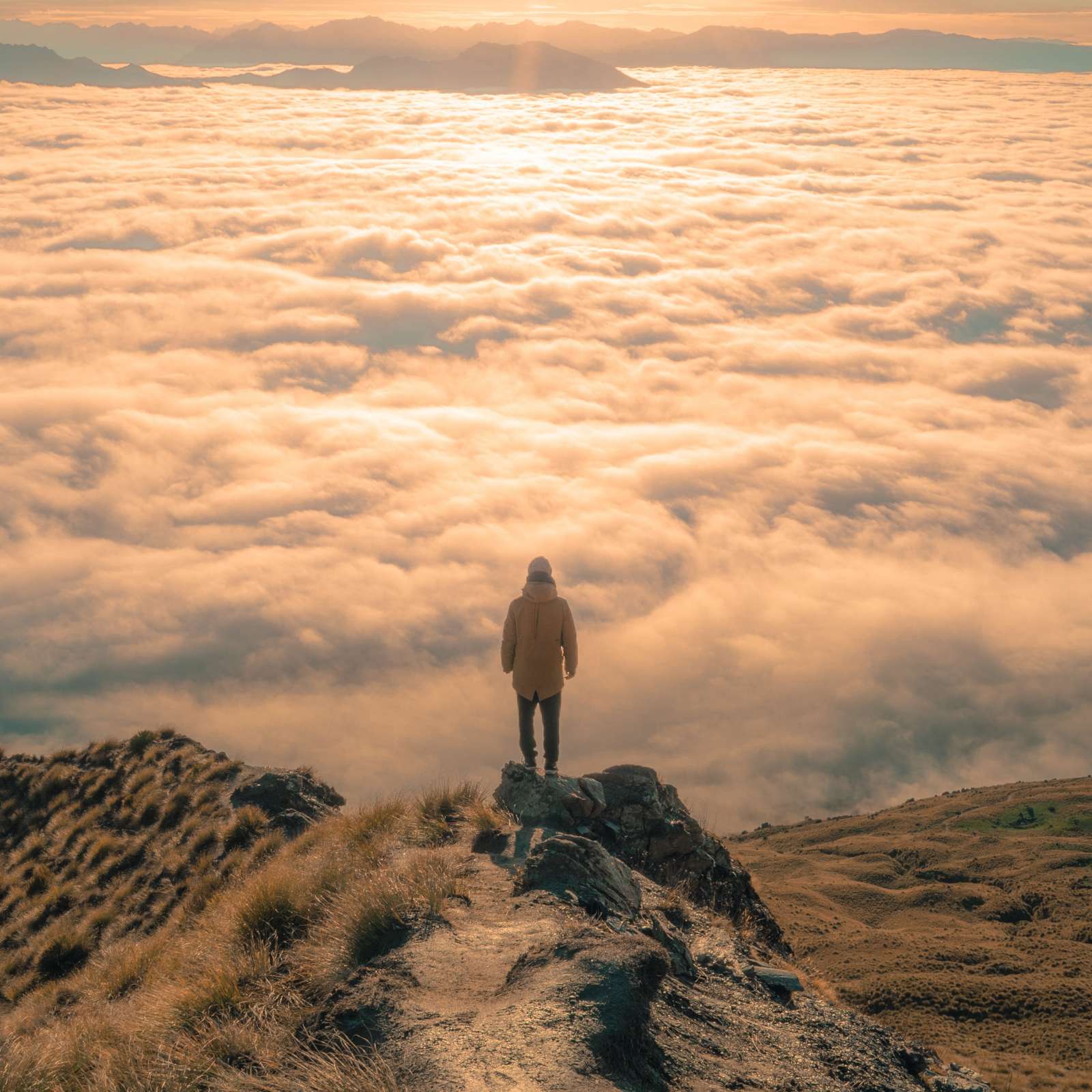 This describes the image