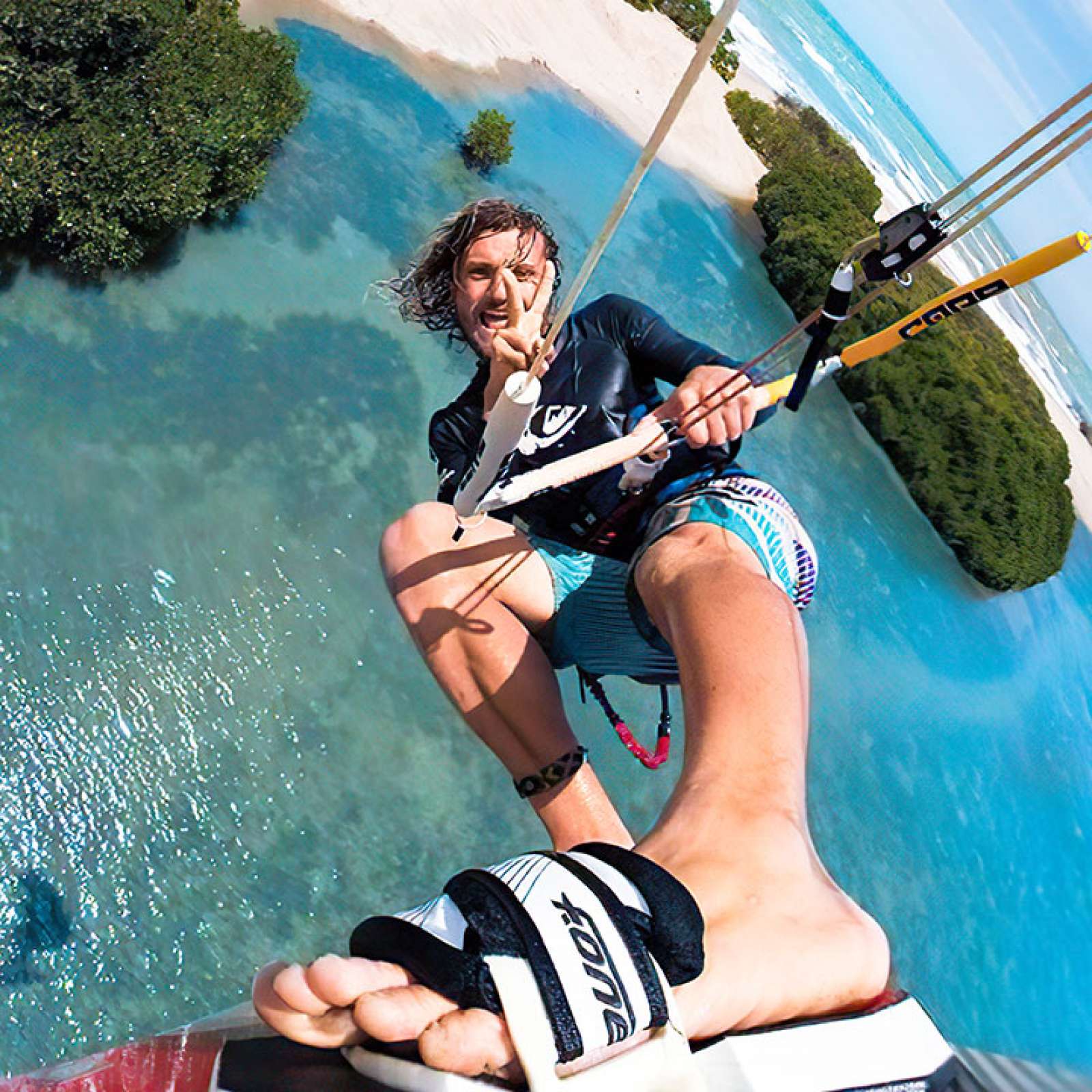 This describes the image