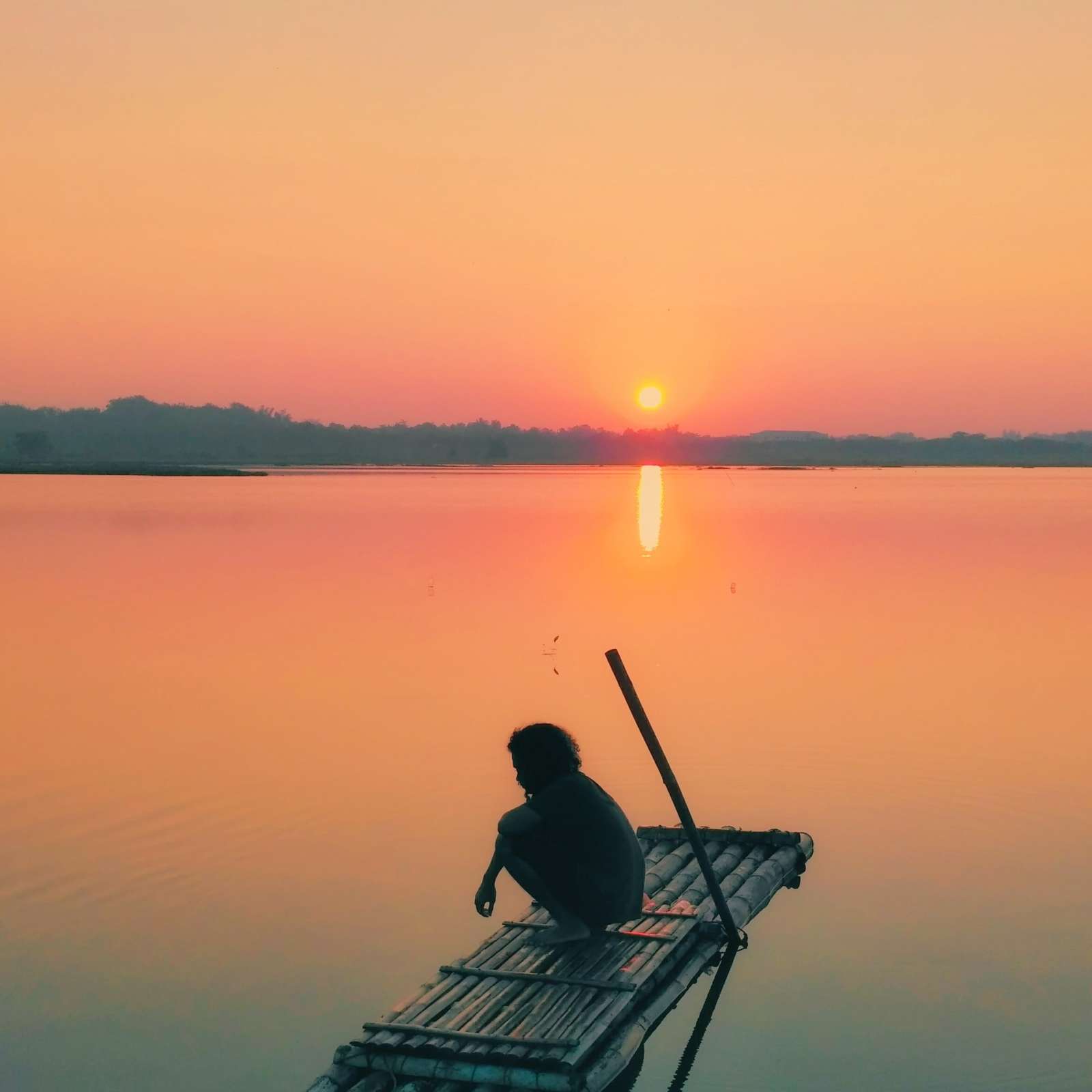 This describes the image