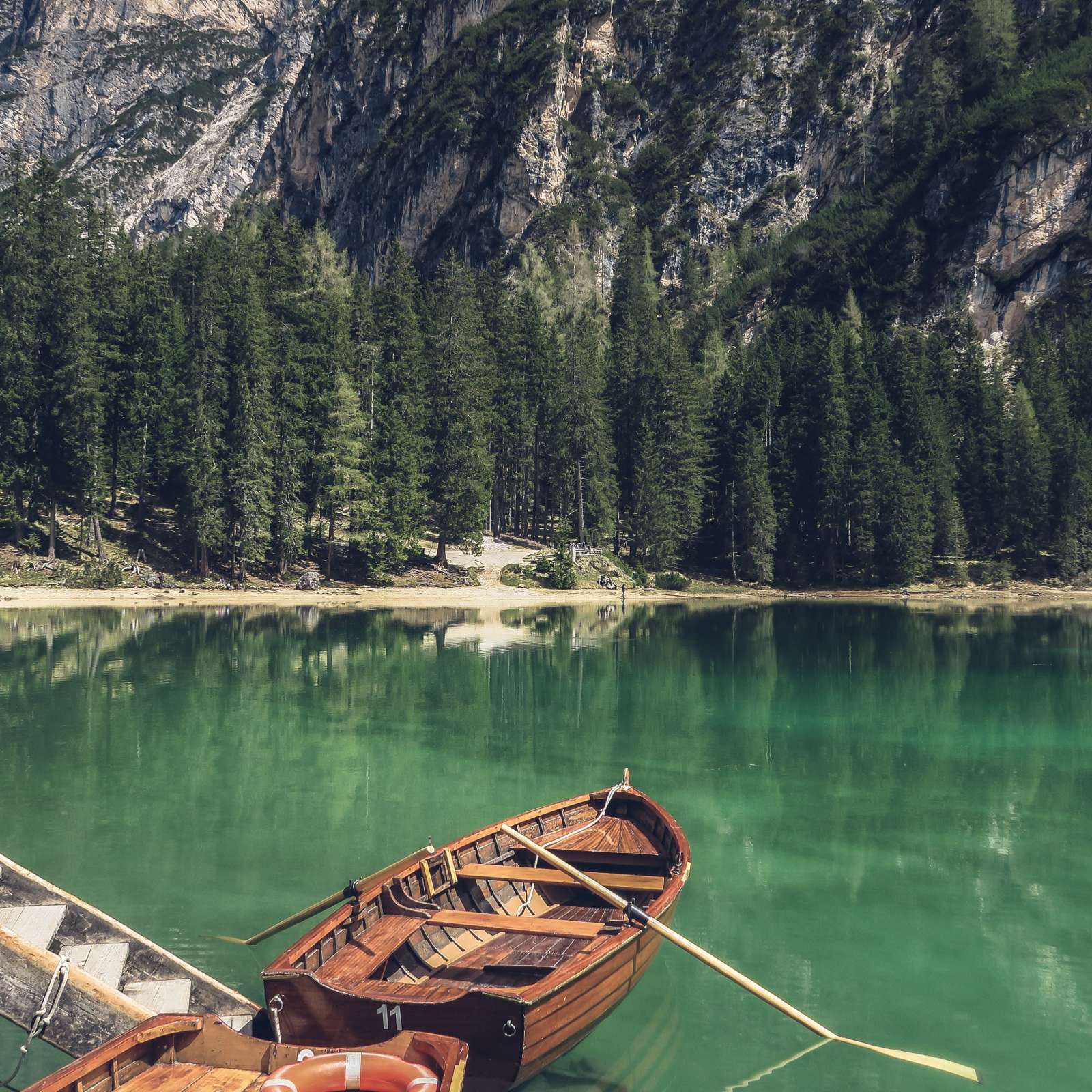 This describes the image