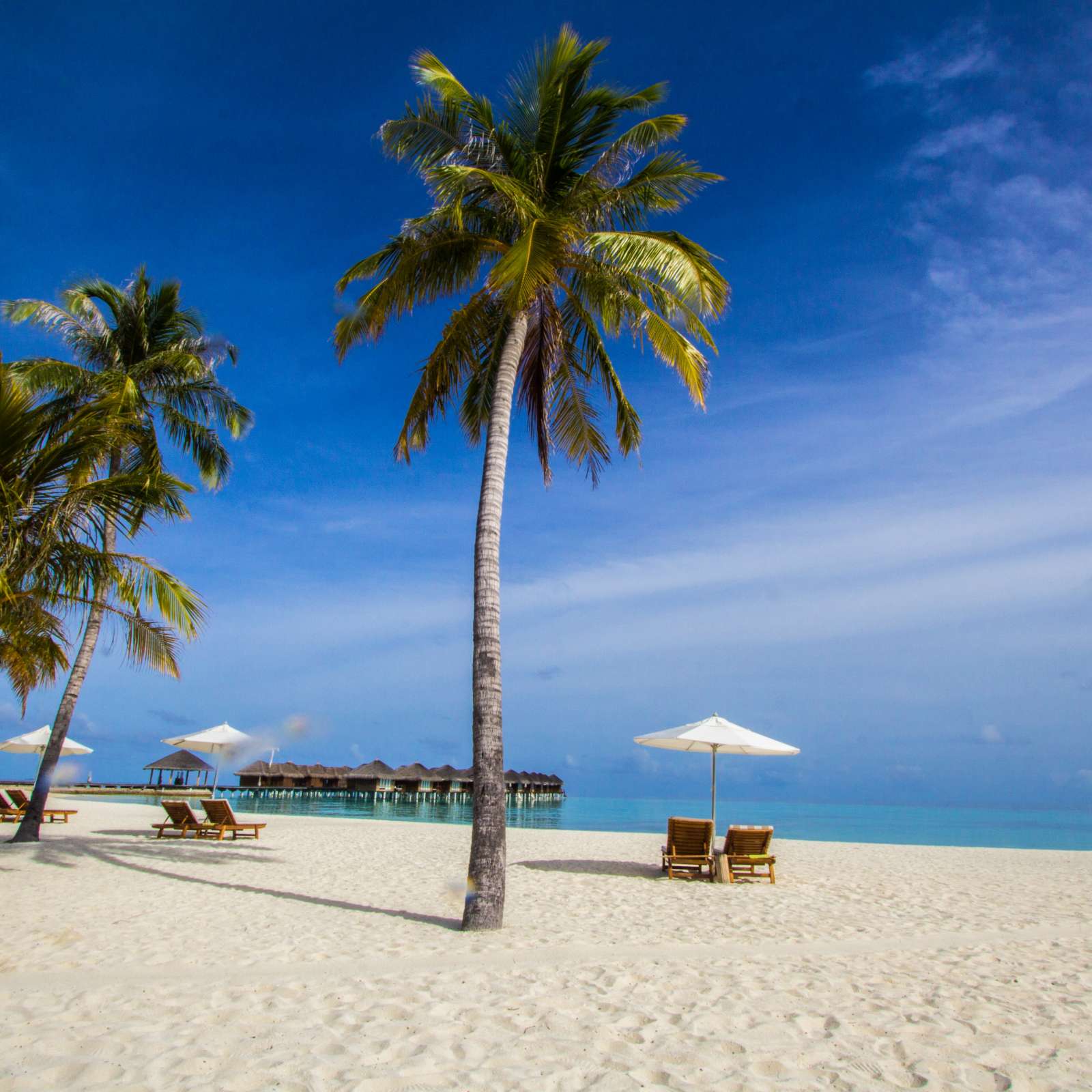 This describes the image