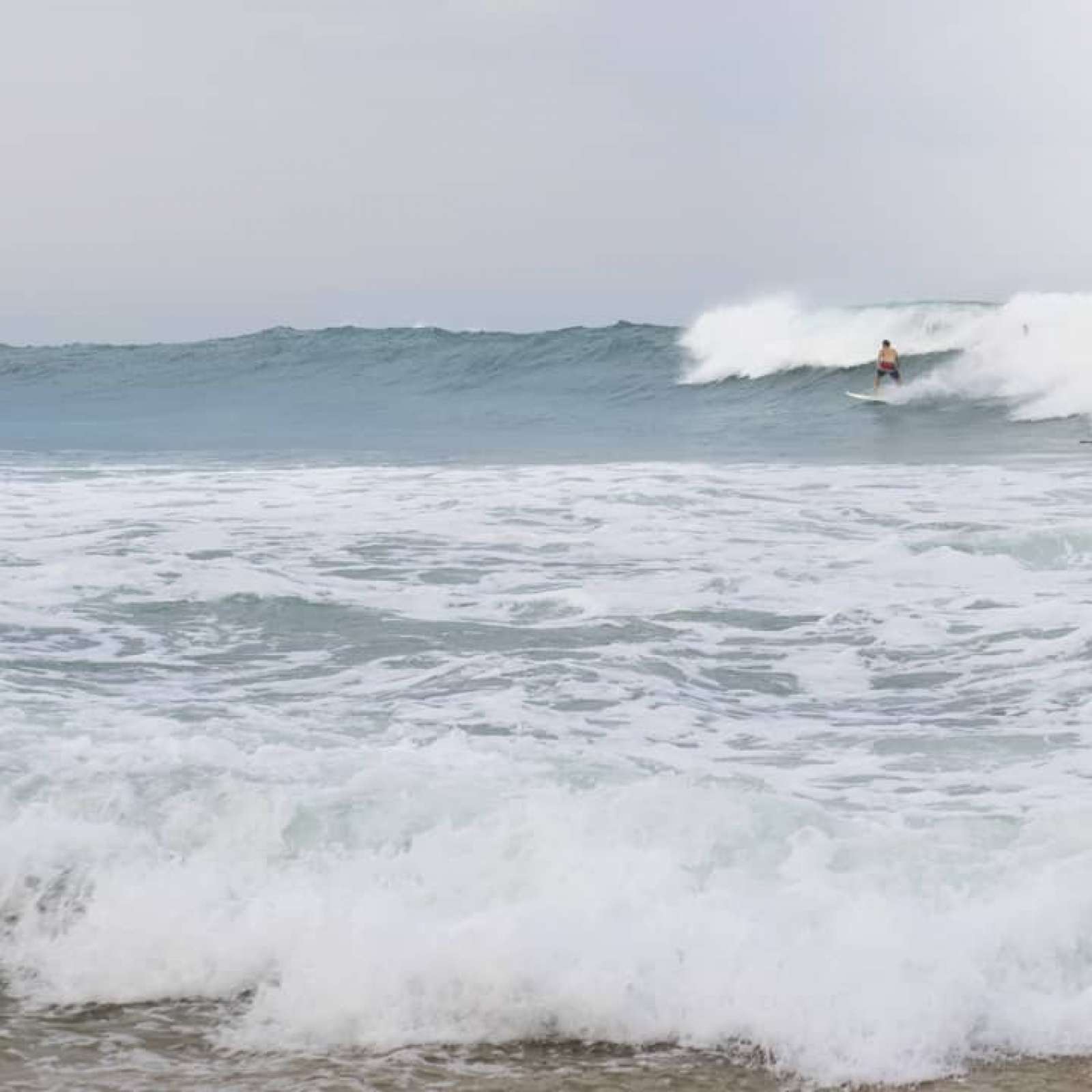 This describes the image