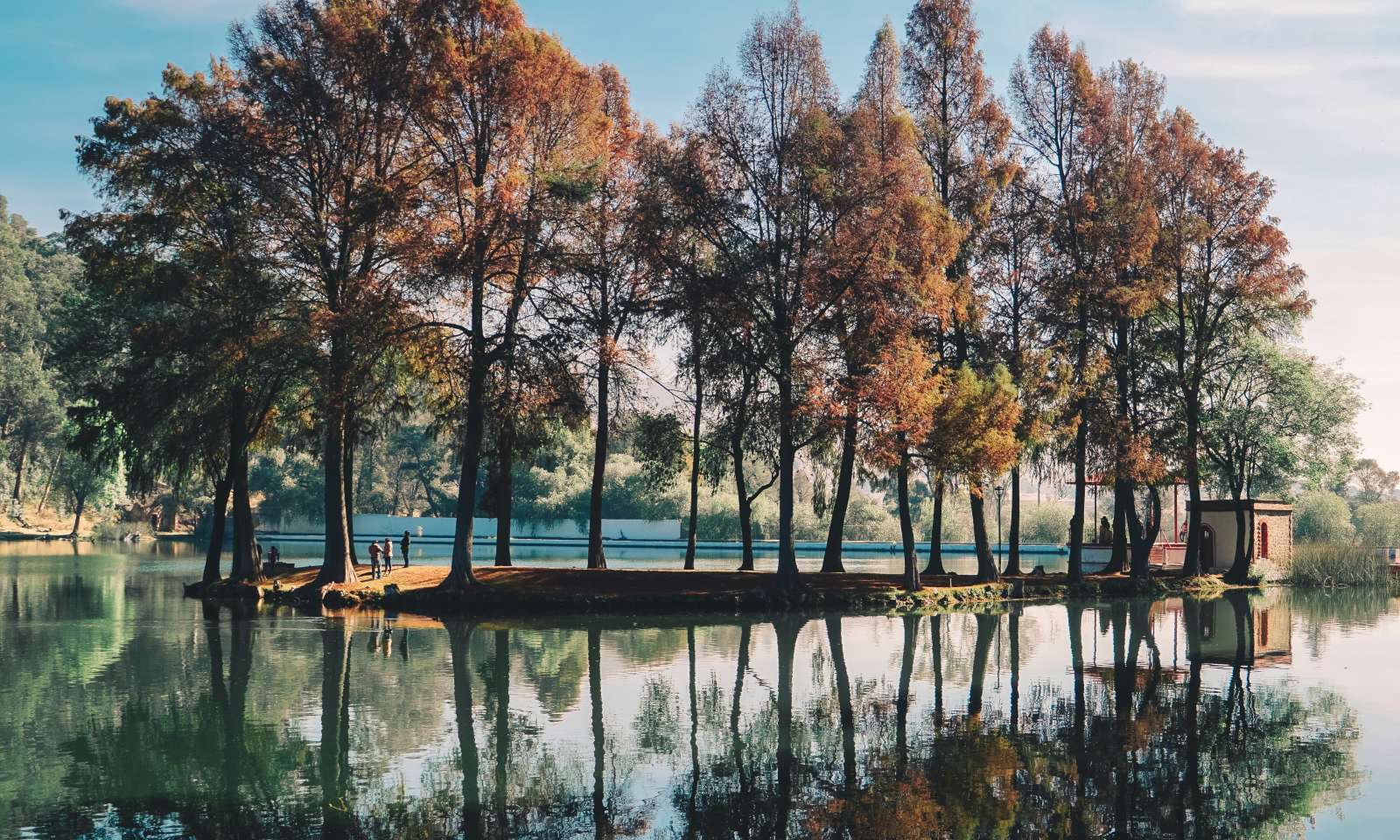 This describes the image